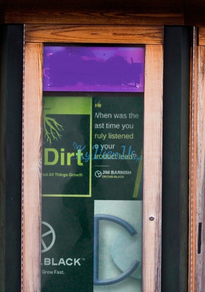 The-dirt-podcast-B2B-guest-Richard-Blank-Costa-Ricas-Call-Center.jpg